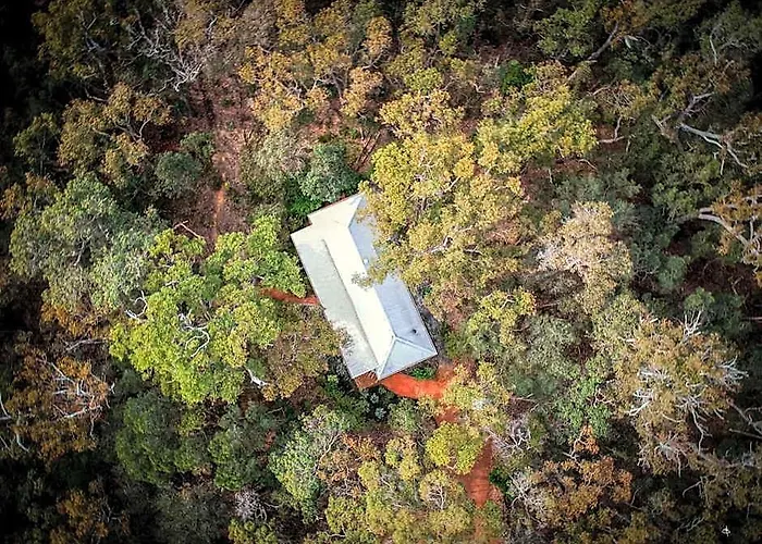 Forest Rise Chalets And Lodge
