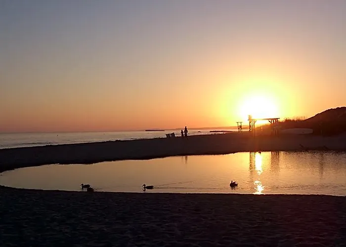 Son Bou Playa Gold