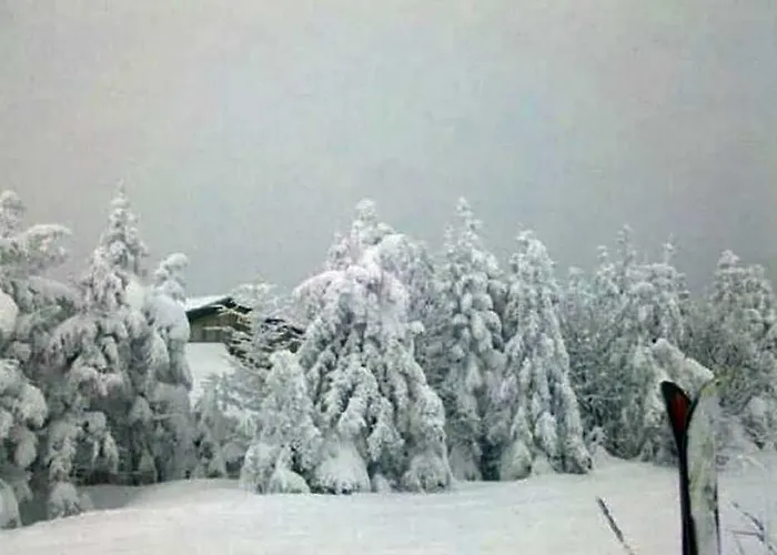 The Inn At Mount Snow