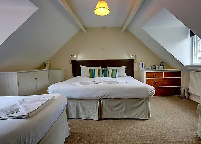 Volunteer Inn
