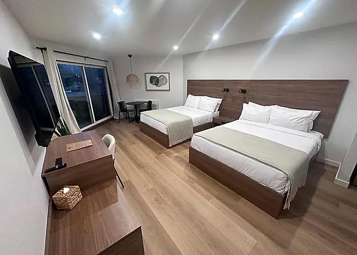 Hotel 19