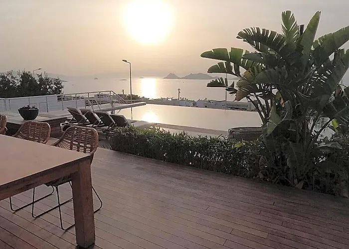 Mugla Villa 1013