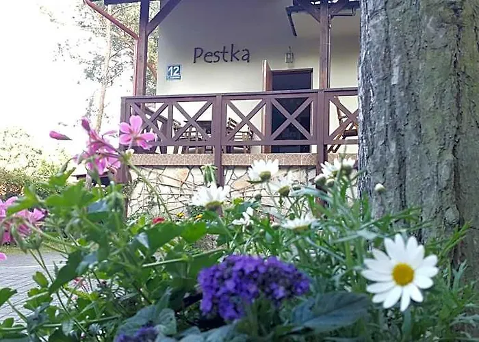 Pestka