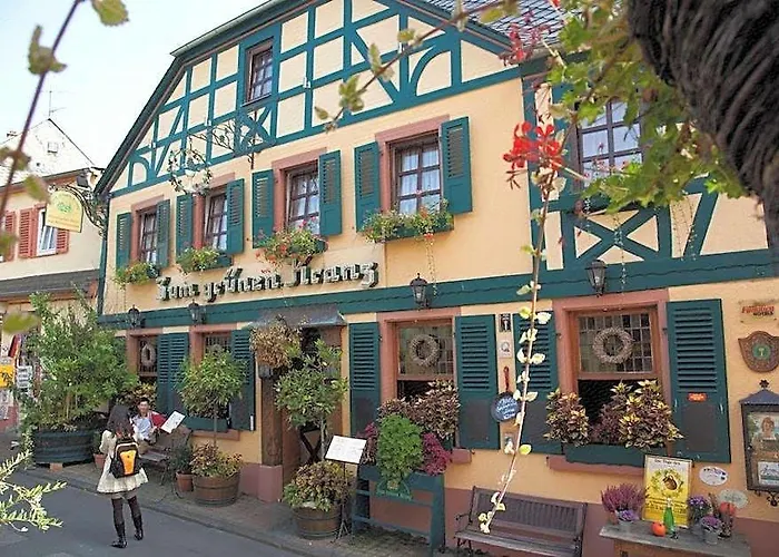 Historisches Weinhotel Zum Gruenen Kranz
