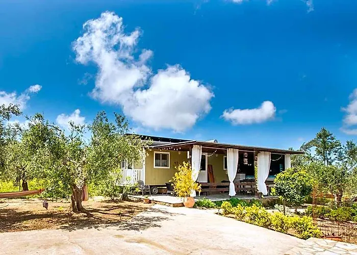 Hakuna Matata Holidays Agalia With Airco & Pool In Greek Olive Grove