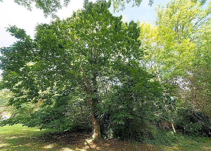 Le Cottage De St Aubierge