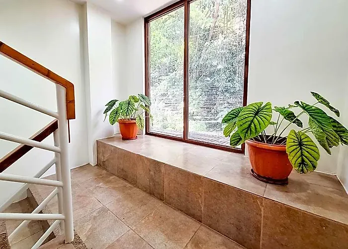 Areca Boracay Bed And Breakfast