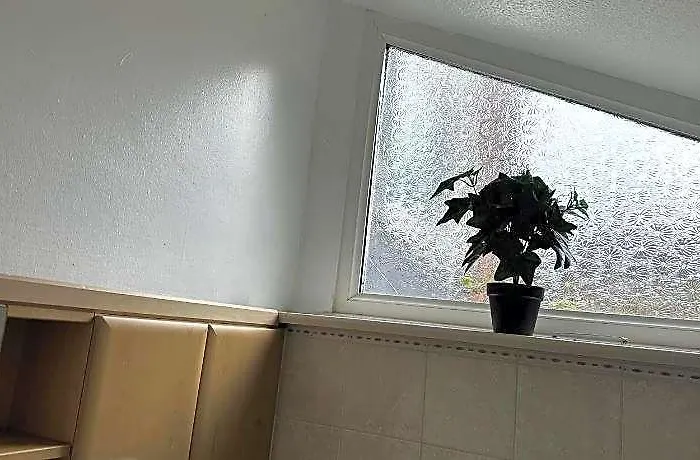 Lovely Room In South London