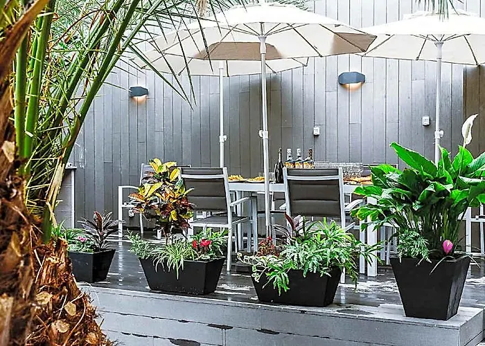 Calypso Boutique Apartments