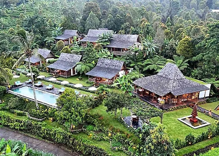 Umah Lusa