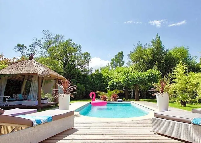 Tikki - Grimaud