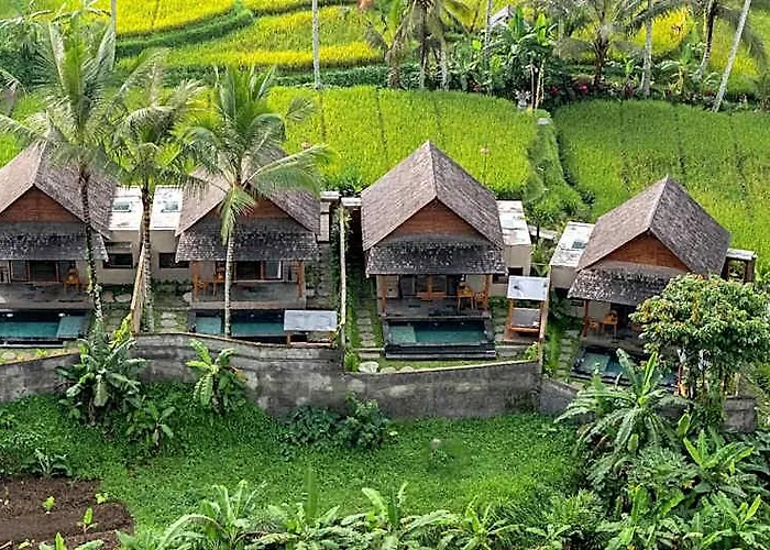 Moonterra Villa Sebatu