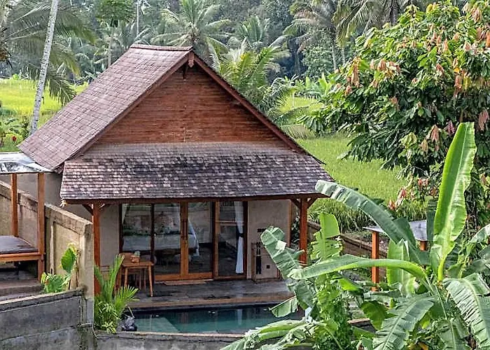 Moonterra Villa Sebatu