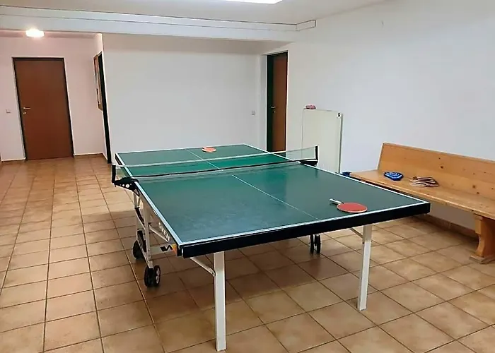 Apartment In Radstadt Near Ski Amade