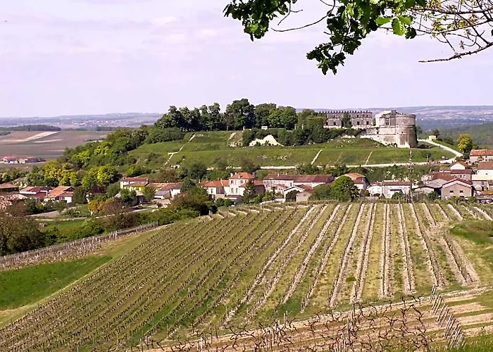 Fleurs De Vigne, Gite Charentais Au Grand Coeur