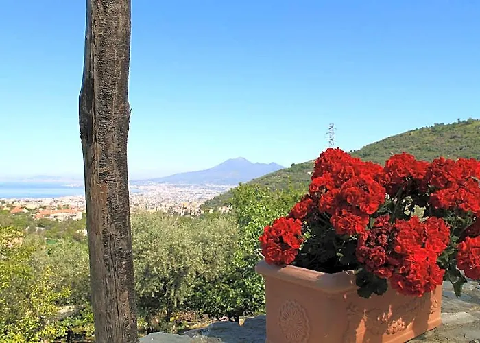 Agriturismo Casa Scola