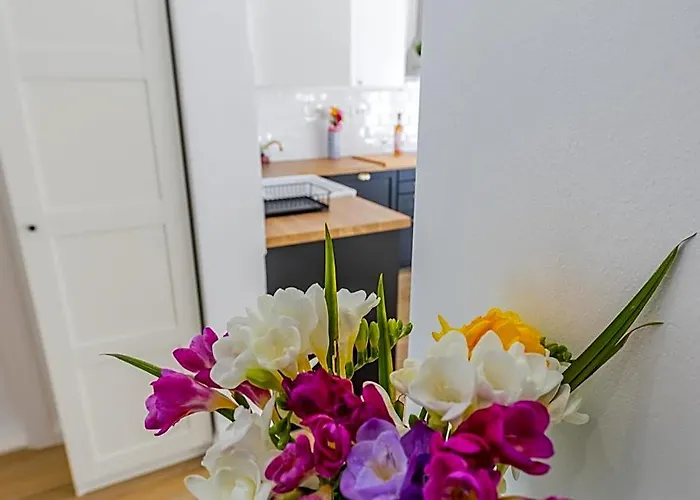Apartment 22