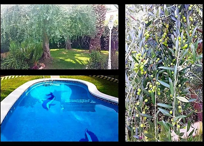 Villa 100 M From The Beach