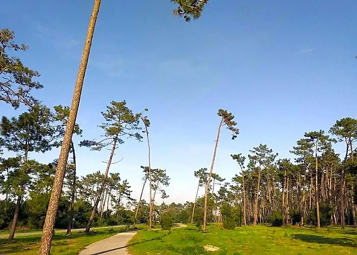 Greenside Of Sea