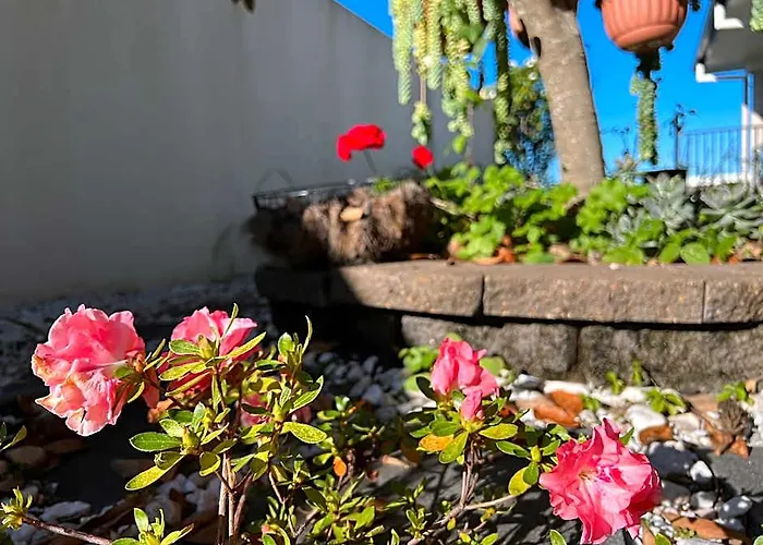 Beautiful & Peaceful Granny Flat Behind Beach House - 2Br 4 Beds