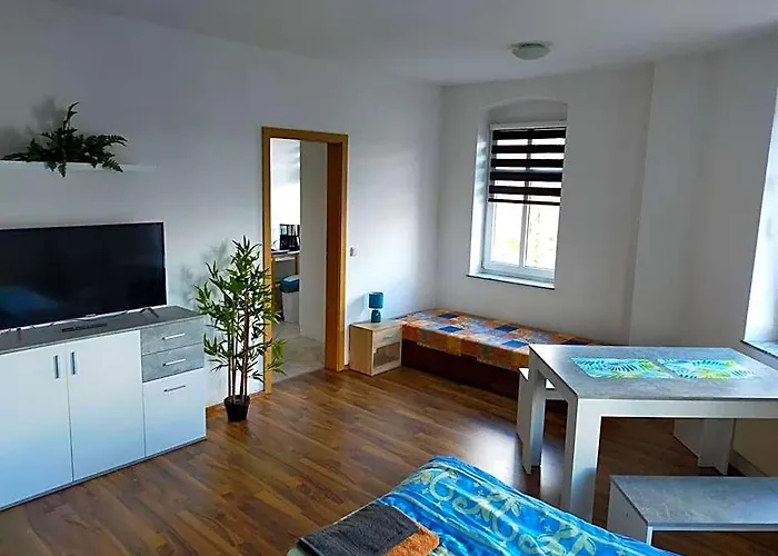 Flex Aparts - Grosse, Moeblierte Wohnung In Zwickau Mit 2 Zimmern