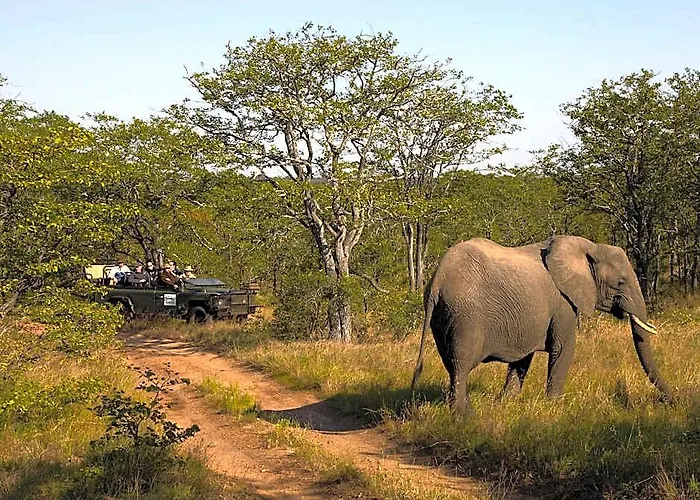 Shindzela Tented Safari Camp And Walking Safaris Accommodation