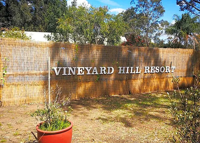 Vineyard Hill