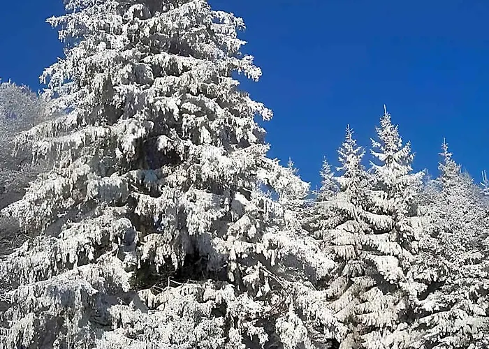 Ferienwohnung Im Sauerland Hillside