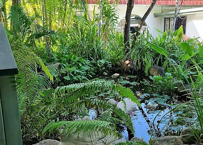 Island Serenity On Magnetic Island
