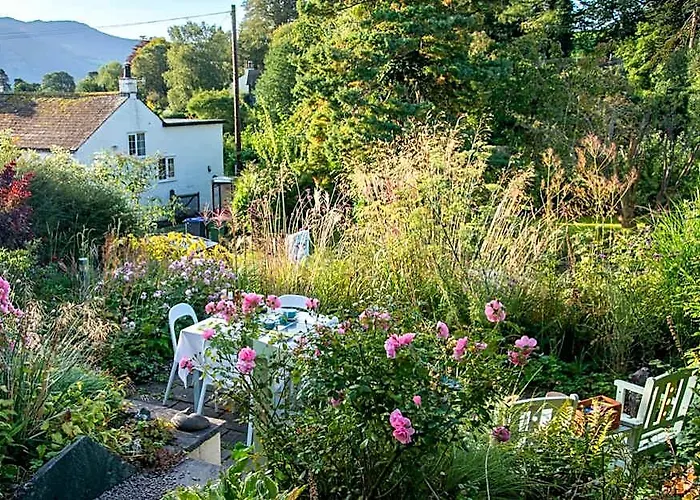 The Mount B&B
