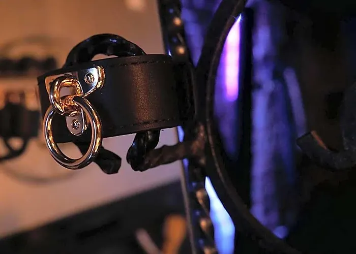 Blacroom De L'Artois