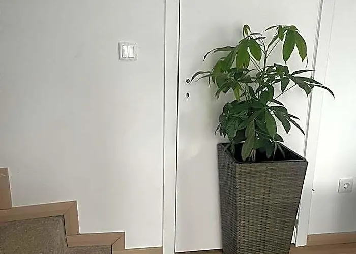 Friend'S House