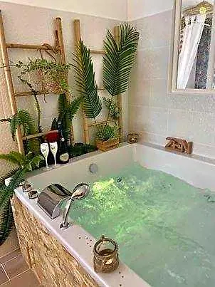 Lover'S Room Tropic
