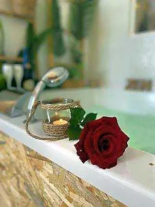 Lover'S Room Tropic