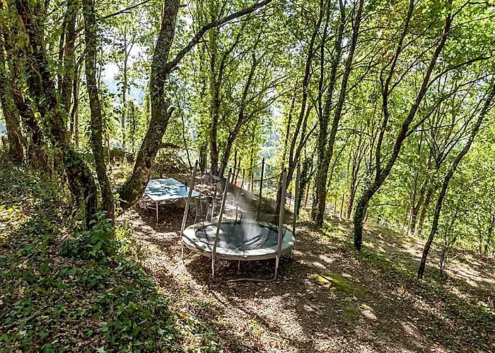 Forest House Casinha Do Carvalhal