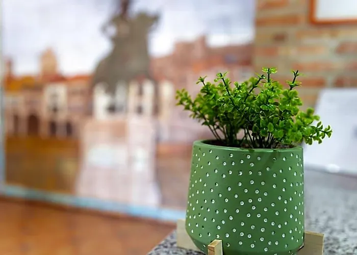 Hotel Pizarro