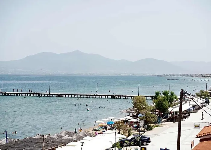 Grand Dodo'S Triada Seaview Studios