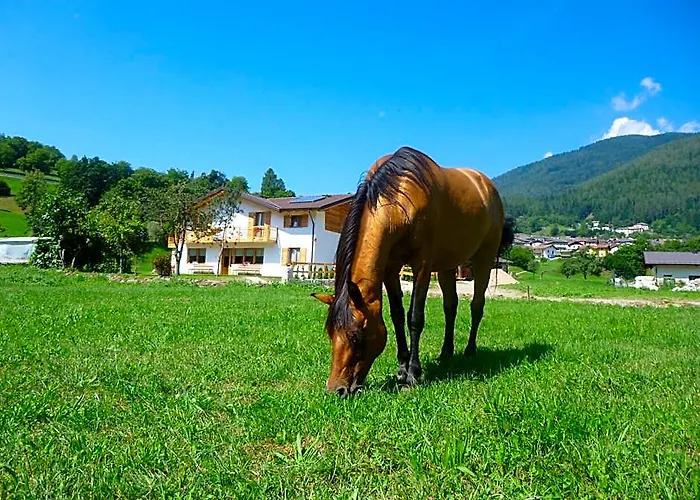 Agriturismo Fattoria Dalcastagne