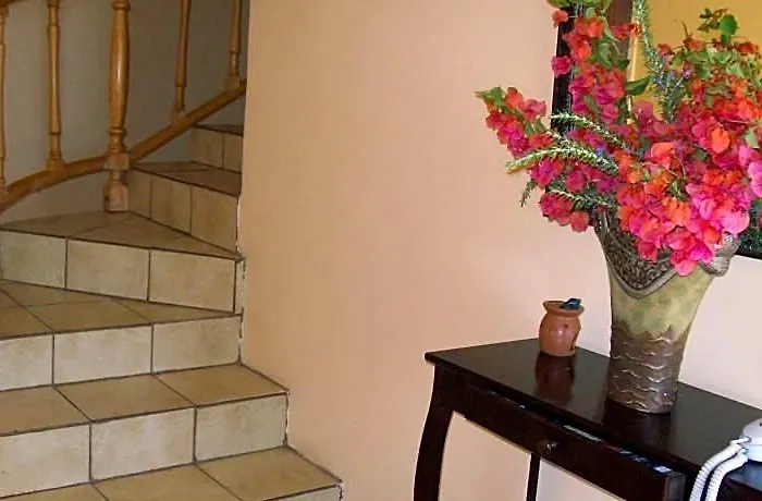 Dolphins View Self-Catering