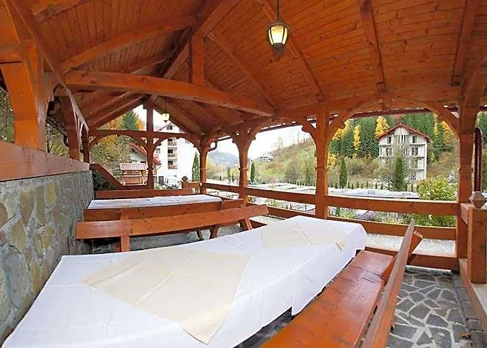 Hotel Paltinis
