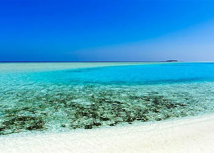Summer Vibes Beach Front Maldives
