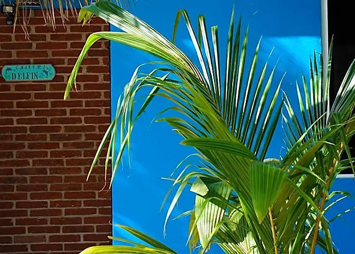 Ocean Oasis Hotel - Adult Only, Four Casitas Boutique Resort