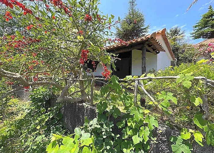 Casas De Campo Do Pomar B&B - Self Check-In