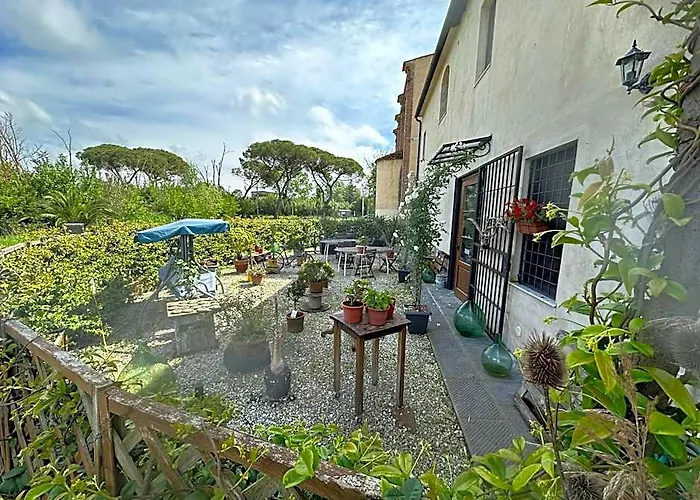 - Il Casale Toscano Guesthouse - 1900 Mt From Pisa Tower - No Air Conditioning But Fan In The Room- No Fridge - No Breakfast - Free Parking - Check In From 3 Pm -