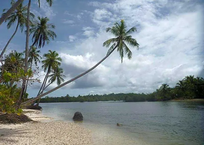 Nyang Ebay Surf Camp Siberut E"Bay 1 Minute Walking Beng-Beng 5 Minute Walking,Pitstop 10 Minute Walking Nipussy 1 Hour Walking Short Walking Only Minute Distances From Our Place