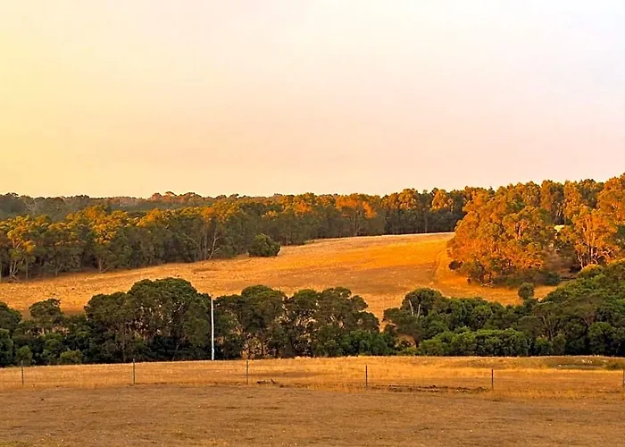 Hilltop Studios