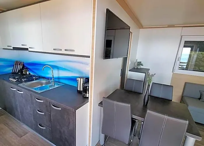 Luxury Mobile Homes