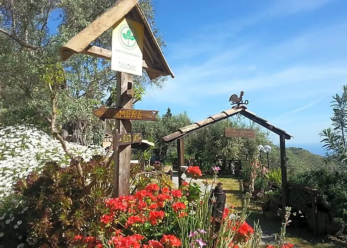 Agriturismo L'Uliveto