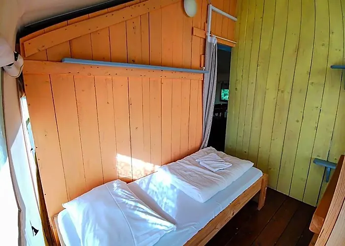 Sunflower Camping