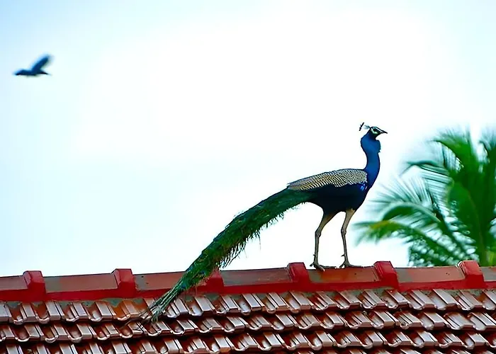 Thompukandam Village Resort